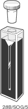 Rectangular Cells
