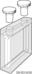 Rectangular Cells